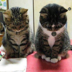 Dulu Sebelum Dapat J10i 2